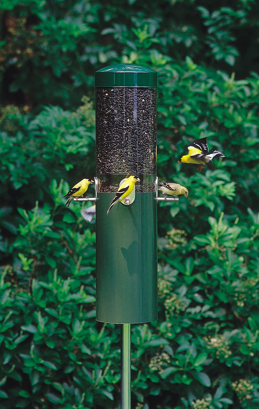 Classic Polemounted Bird Feeder